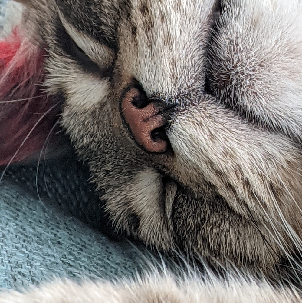 Meet your Posher, Jodi